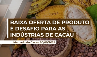 Anna Paula Losi - Diretora Executiva AIPC