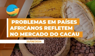 Rafael Machado Borges - Analista de Inteligência de Mercado da Stonex