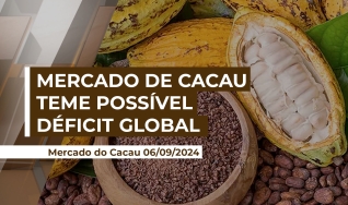 Alê Delara - Sócio Diretor da Pine Agronegócios