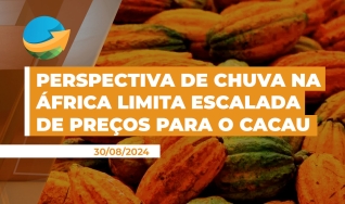 André Lisboa - Administrador e Empresário na compra de cacau em amêndoas