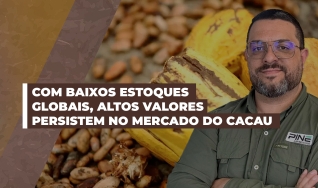 Alê Delara - Sócio Diretor da Pine Agronegócios