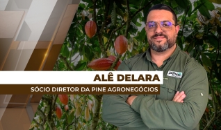 Alê Delara - Sócio Diretor da Pine Agronegócios