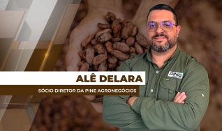Alê Delara - Sócio Diretor da Pine Agronegócios