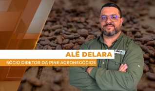 Alê Delara - Sócio Diretor da Pine Agronegócios