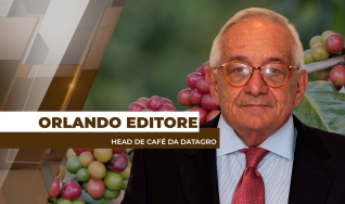 Orlando Editore - Head de Café da Datagro