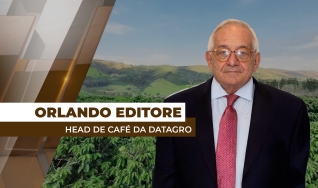 Orlando Editore - Head de Café da Datagro
