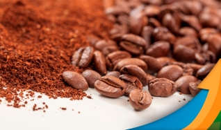 Natália Gandolphi - Analista de Café da da hEDGEpoint Global Markets