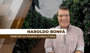 Haroldo Bonfá - Analista de Mercado e Diretor da Pharos Consultoria