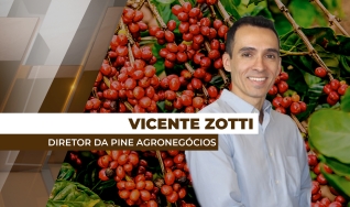 Vicente Zotti - Sócio Diretor da Pine Agronegócios
