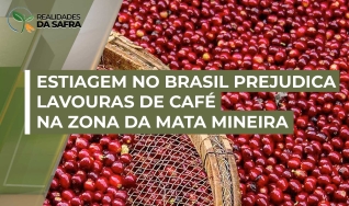 Mateus Oliveira - Cafeicultor de Simonésia - MG