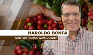 Haroldo Bonfá - Analista de Mercado e Diretor da Pharos Consultoria