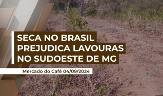 Fernando Barbosa - Pres. da Assoc. dos Cafeicultores do Sudoeste de Minas