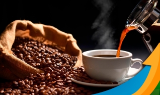 Marcus Magalhães - Diretor Executivo MM Cafés