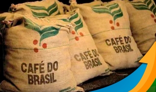 Marcos Matos - Diretor Geral do Cecafé