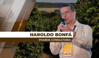 Haroldo Bonfá - Analista de Mercado e Diretor da Pharos Consultoria