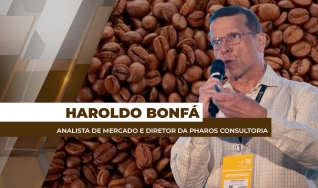 Haroldo Bonfá - Analista de Mercado e Diretor da Pharos Consultoria