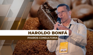 Haroldo Bonfá - Analista de Mercado e Diretor da Pharos Consultoria