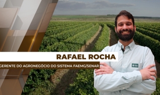 Rafael Rocha - Gerente do Agronegócio do Sistema Faemg/Senar