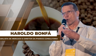 Haroldo Bonfá - Analista de Mercado e Diretor da Pharos Consultoria