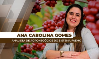 Ana Carolina Gomes - Analista de Agronegócios do Sistema FAEMG