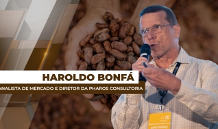 Haroldo Bonfá - Analista de Mercado e Diretor da Pharos Consultoria
