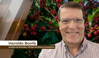Haroldo Bonfá - Analista de Mercado e Diretor da Pharos Consultoria