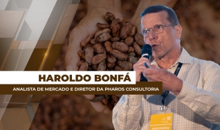 Haroldo Bonfá - Analista de Mercado e Diretor da Pharos Consultoria