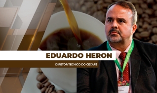 Eduardo Heron - Diretor Técnico do Cecafé