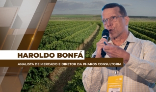 Haroldo Bonfá - Analista de Mercado e Diretor da Pharos Consultoria