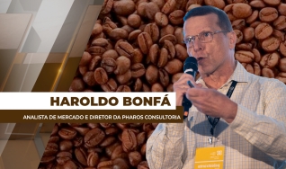 Haroldo Bonfá - Analista de Mercado e Diretor da Pharos Consultoria