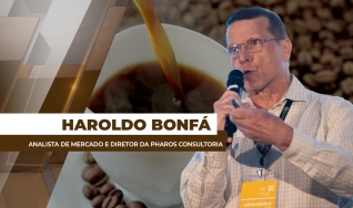 Haroldo Bonfá - Analista de Mercado e Diretor da Pharos Consultoria