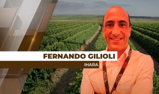 Fernando Gilioli - Engenheiro Agrônomo e Gerente de Marketing Regional da IHARA