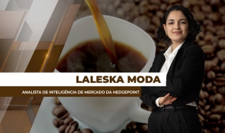 Laleska Moda - Analista de Inteligência de Mercado da Hedgepoint