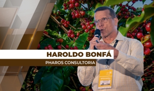 Haroldo Bonfá - Analista de Mercado e Diretor da Pharos Consultoria