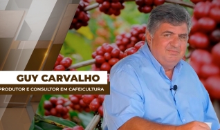 Guy Carvalho - Produtor e consultor em cafeicultura