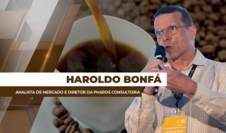 Haroldo Bonfá - Analista de Mercado e Diretor da Pharos Consultoria