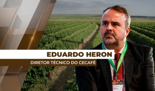 Eduardo Heron - Diretor Técnico do Cecafé