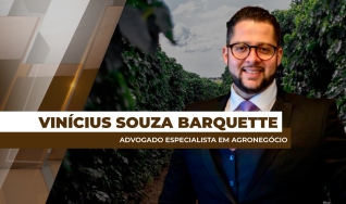 Vinícius Souza Barquette - Advogado Especialista em Agronegócio
