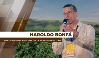 Haroldo Bonfá - Analista de Mercado e Diretor da Pharos Consultoria