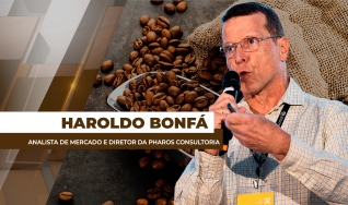 Haroldo Bonfá - Analista de Mercado e Diretor da Pharos Consultoria