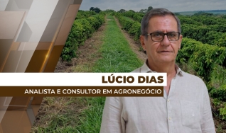 Lúcio Dias - Analista e consultor em agronegócio