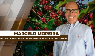 Marcelo Moreira - Analista de Mercado e Colaborador na Archer Consulting