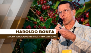 Haroldo Bonfá - Analista de Mercado e Diretor da Pharos Consultoria