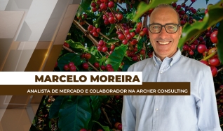 Marcelo Moreira - Analista de Mercado e Colaborador na Archer Consulting