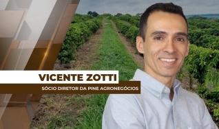 Vicente Zotti - Sócio Diretor da Pine Agronegócios