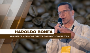 Haroldo Bonfá - Analista de Mercado e Diretor da Pharos Consultoria