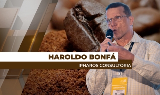 Haroldo Bonfá - Analista de Mercado e Diretor da Pharos Consultoria