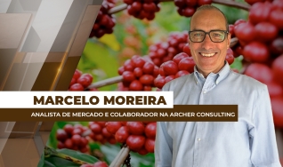 Marcelo Moreira - Analista de Mercado e Colaborador na Archer Consulting