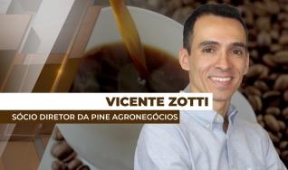 Vicente Zotti - Sócio Diretor da Pine Agronegócios
