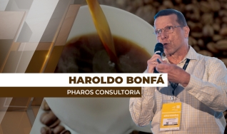 Haroldo Bonfá - Analista de Mercado e Diretor da Pharos Consultoria